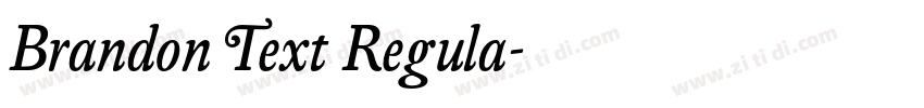 Brandon Text Regula字体转换 Brandon Text Regula字体转换